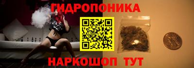 гидропоника Татарск