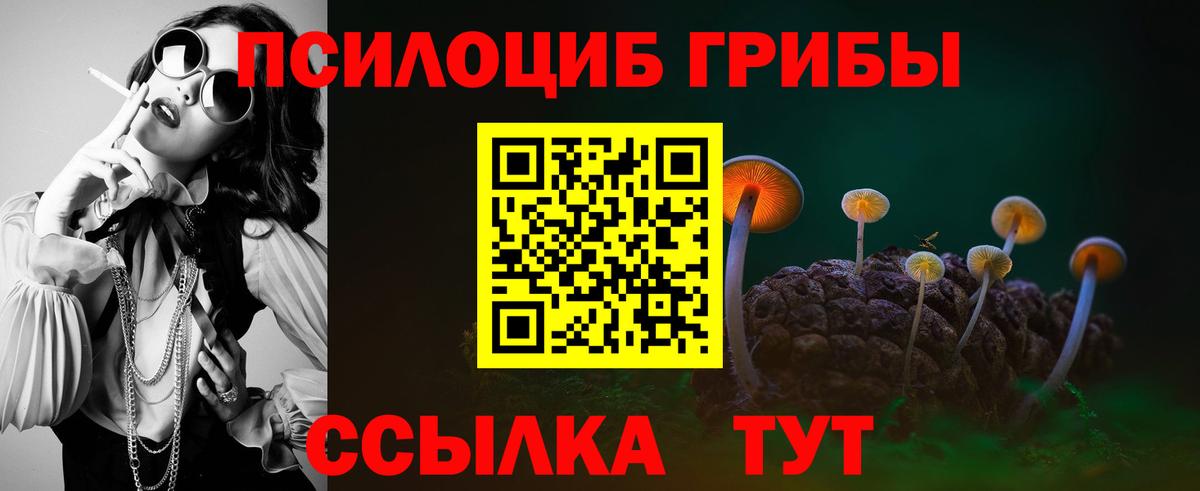 Псилоцибиновые грибы Magic Shrooms Мценск